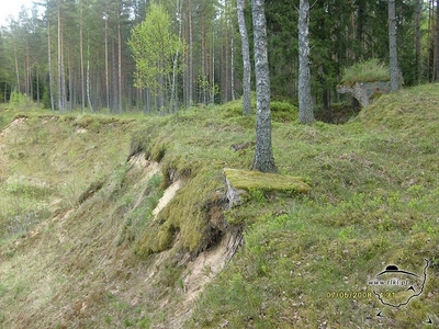 tl443